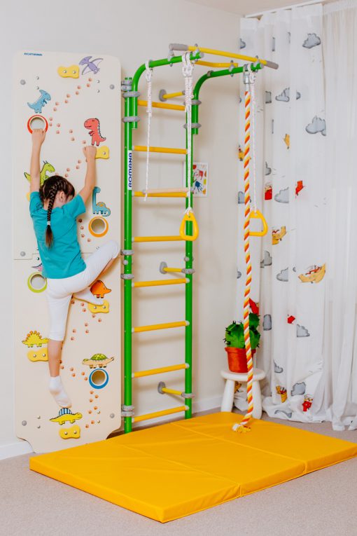 climbing_wall_dino_for_children