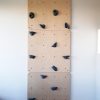 climbing wall.jpg