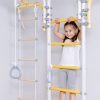 gymnastic ladder transformer prowance.jpg
