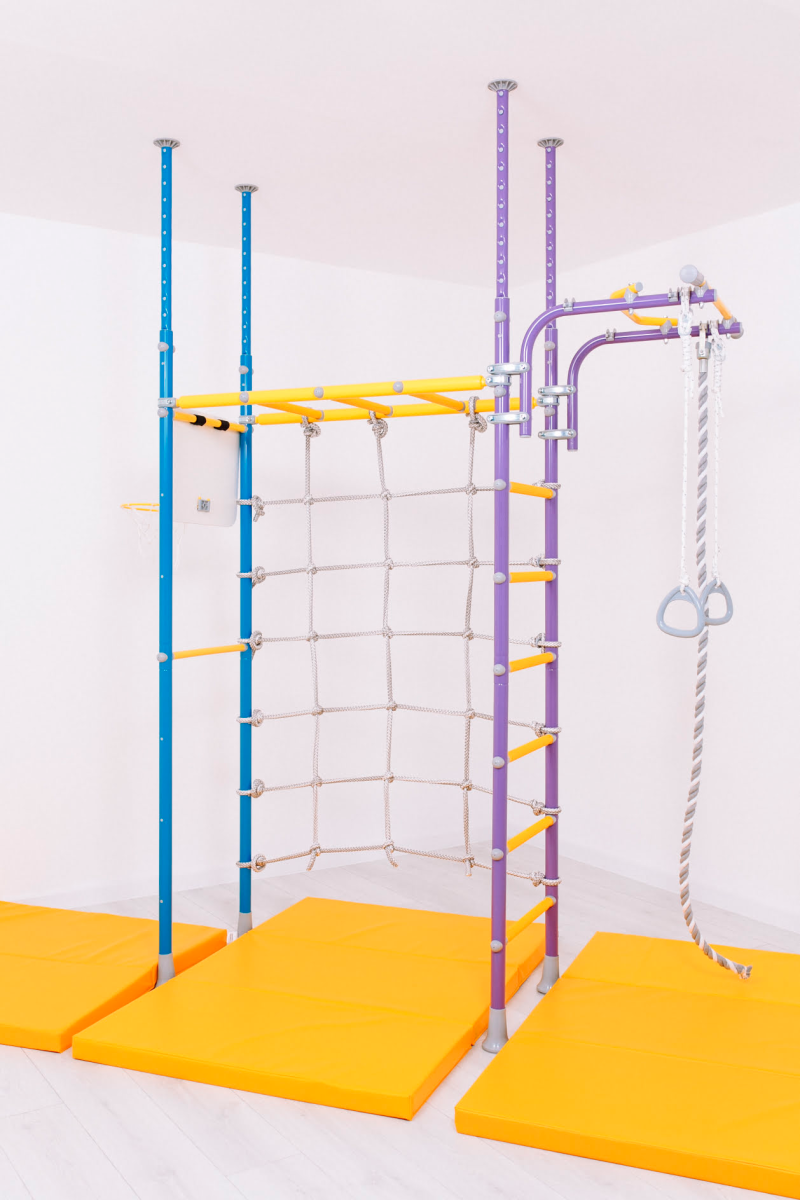 gymnastics wall bars pegasus with accessories purple.png