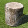 poof stump 3.jpg