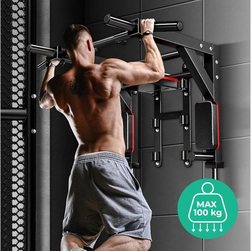 pull up bar 2 in 1 + dip bars X sport (1)