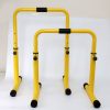 stationary push up bars X sport3.jpg
