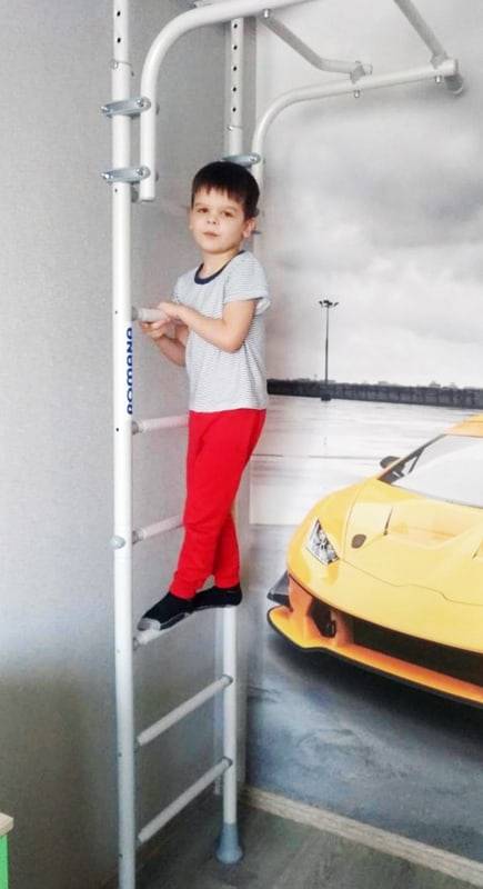 wall bars Comet 5 15.jpg