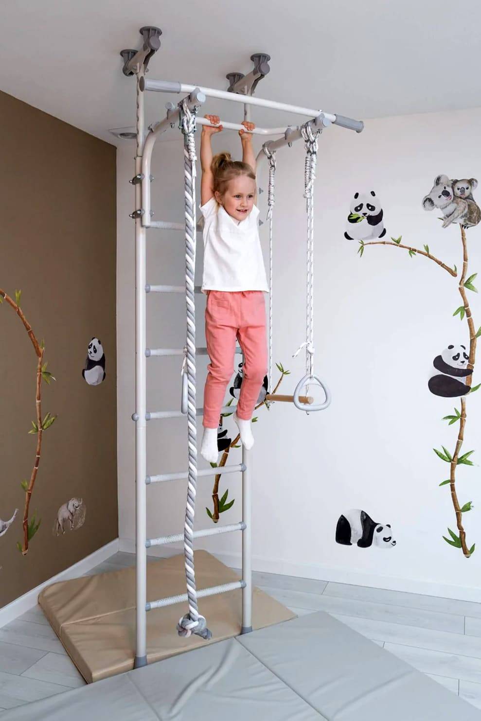 wall bars Comet 5 2.jpg