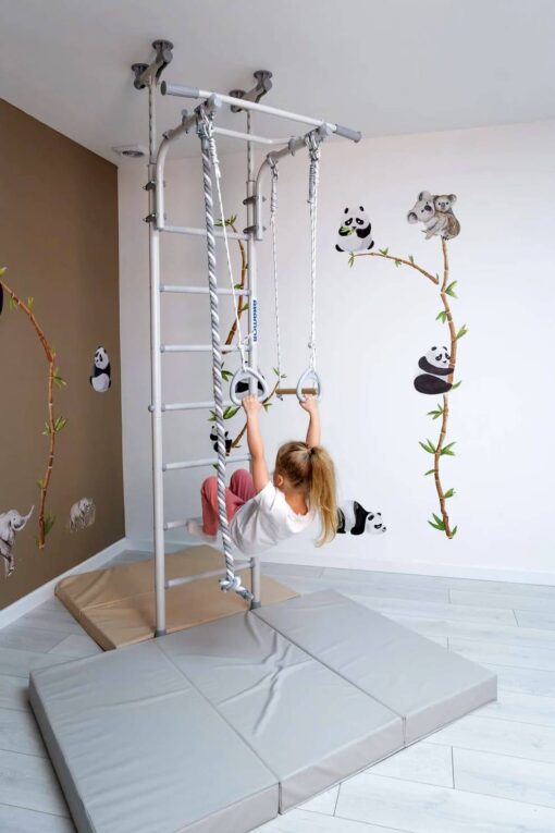 wall bars Comet 5 4.jpg