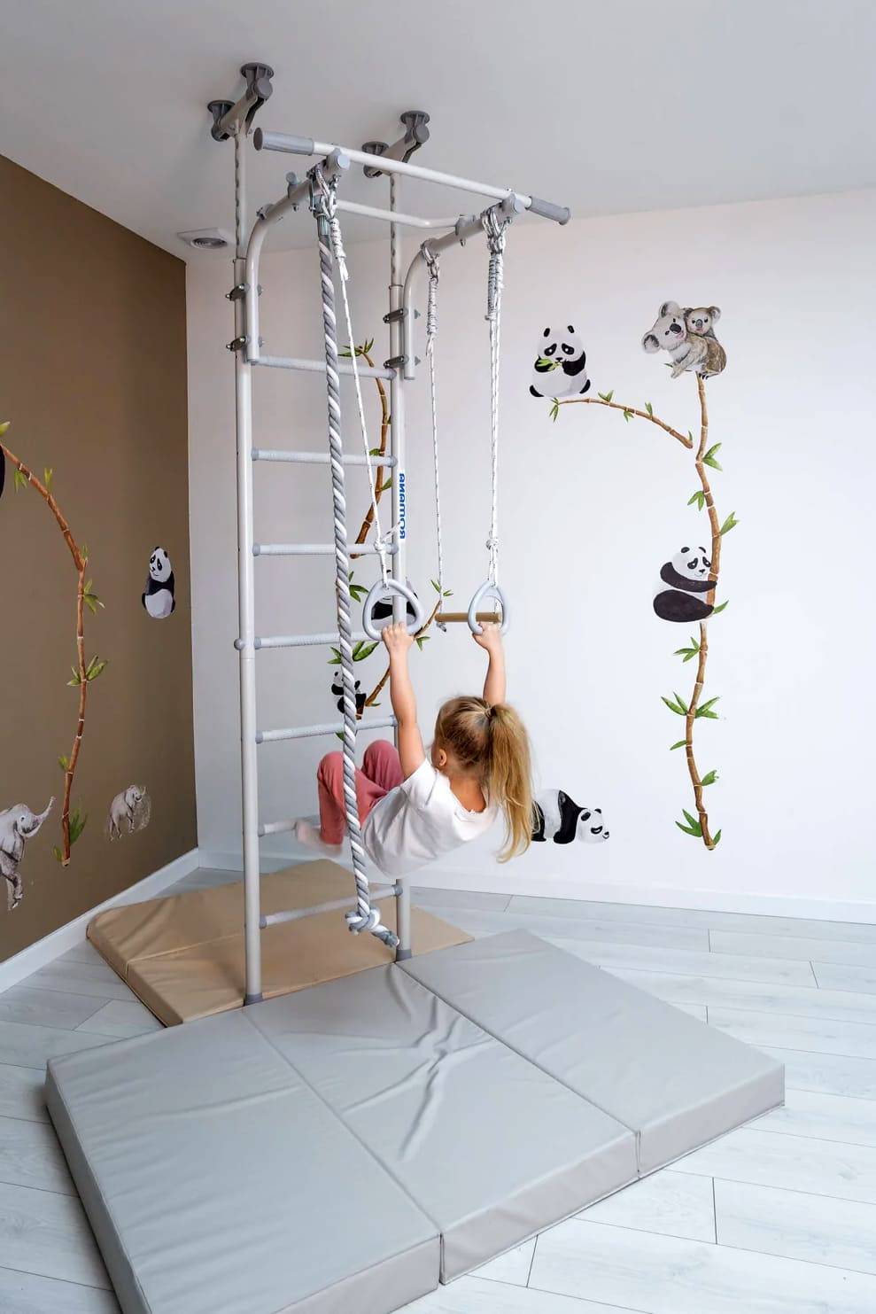 wall bars Comet 5 4.jpg