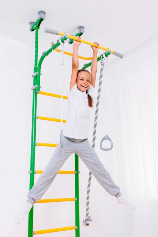 wall bars Comet 5 6.jpg