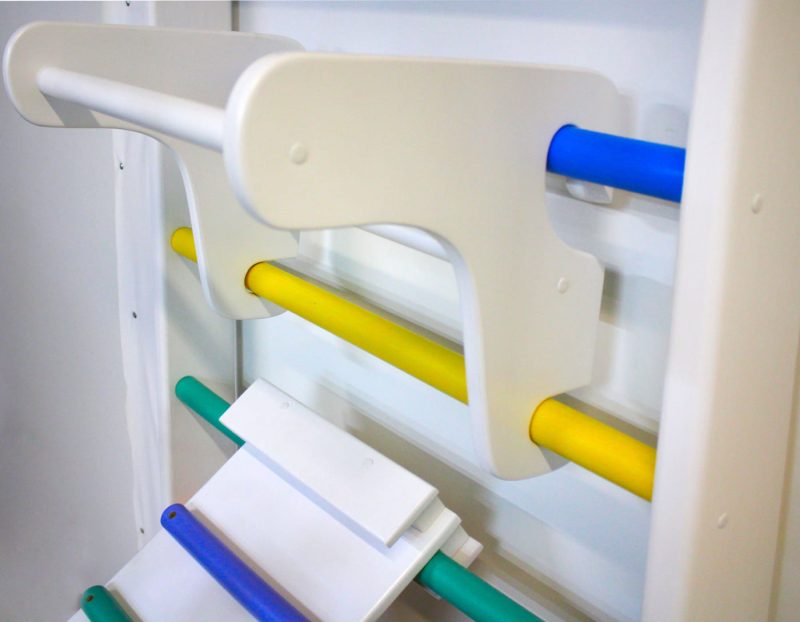 wall bars Trochilinae plus kids.jpg