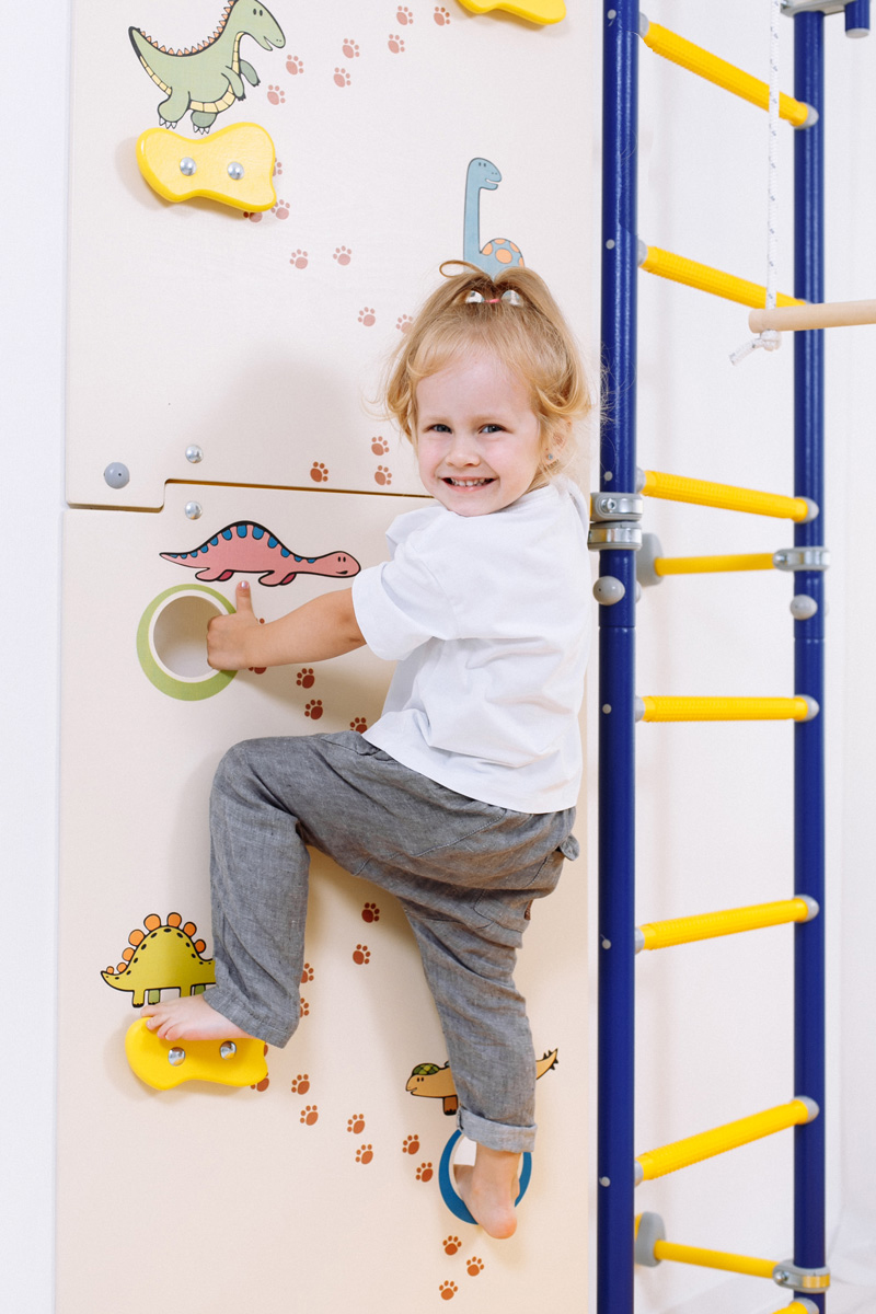 wall bars Comet Next 1 climbing wall Dino for kids.jpg