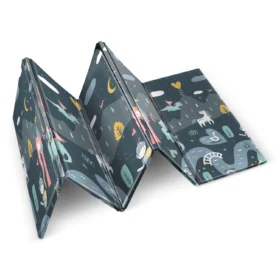 educational mat Kingdom3