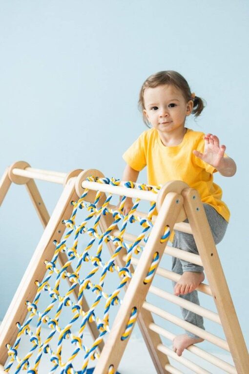 indoor playground Zebra3