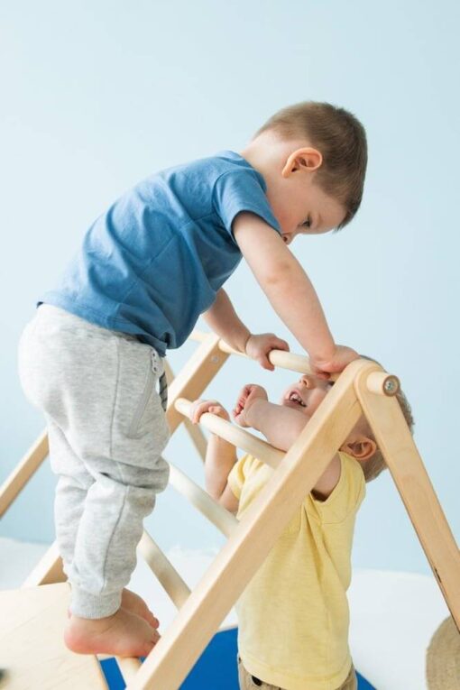 indoor playground Zebra8