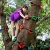 tree climbing set2