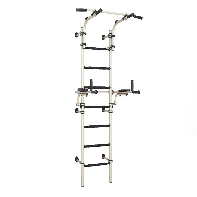 Wall mounted gym wall bars Teenager Plus