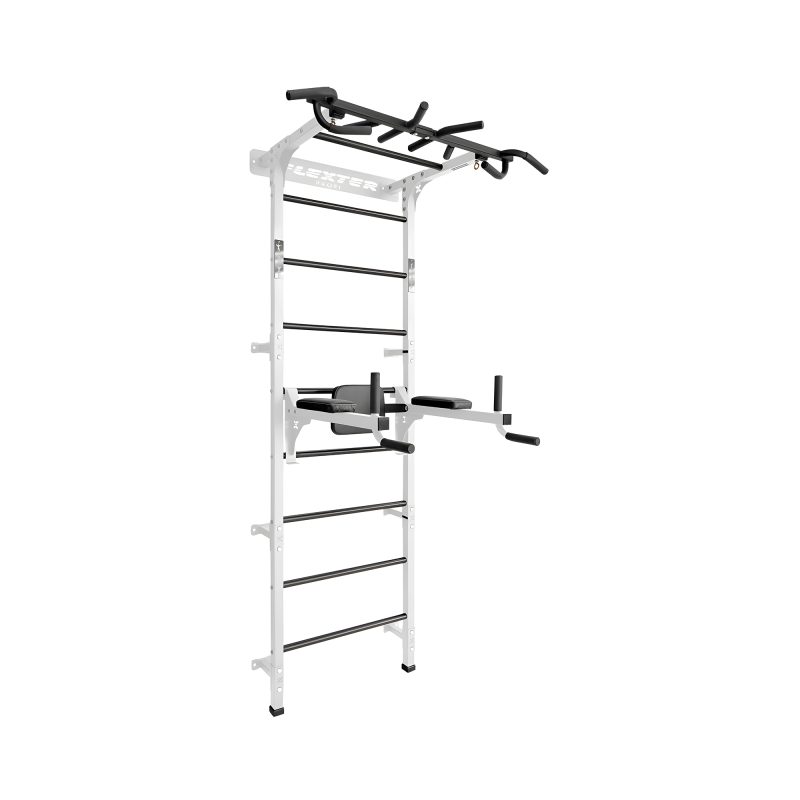 Gym wall bars Motion