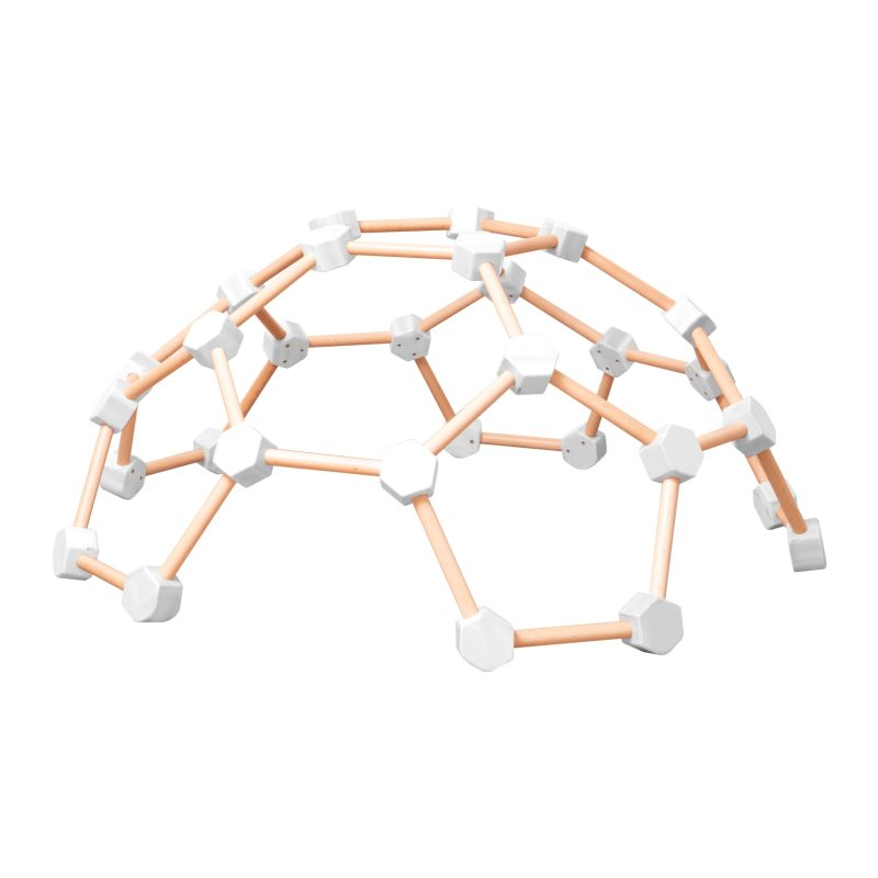 Climbing Dome Spider