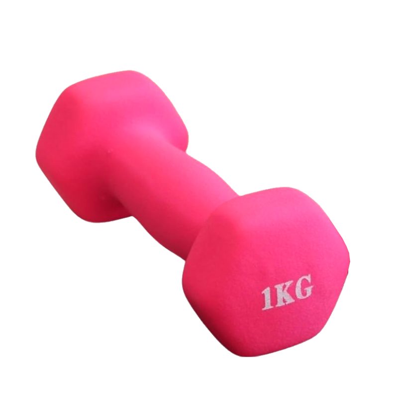 Dumbbell X-Sport 1 kg