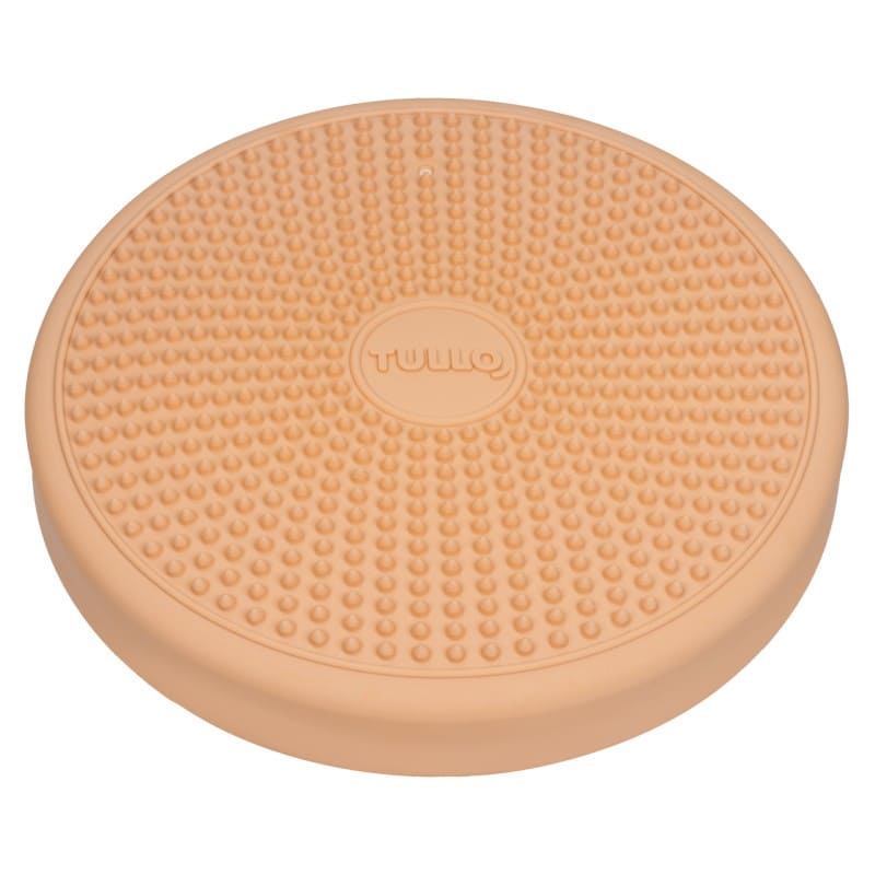 Wobble Cushion